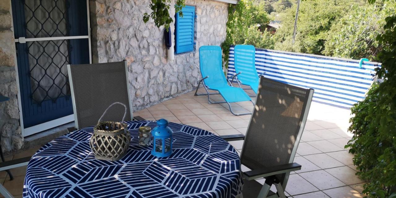 Charming Dalmatian With Panoramic View * Tkon