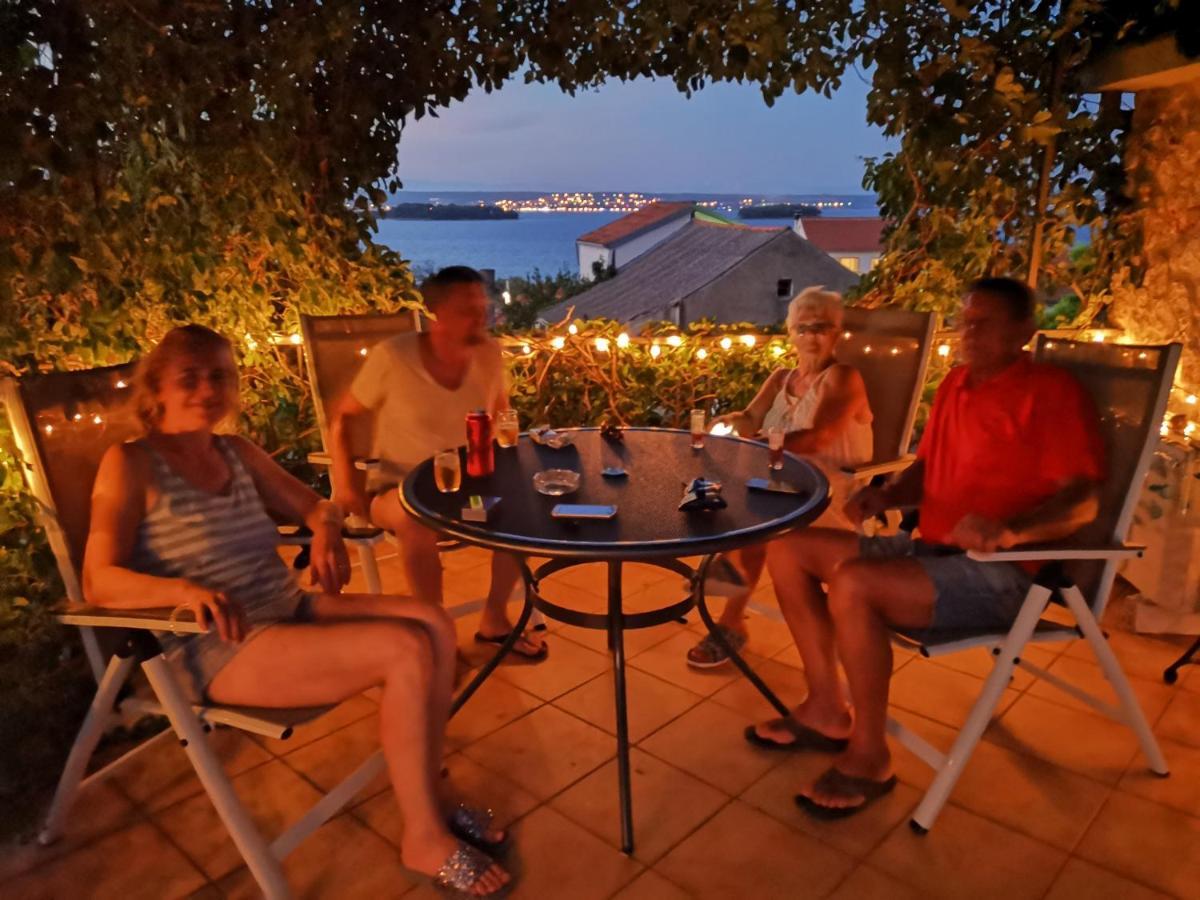 Charming Dalmatian With Panoramic View * Tkon