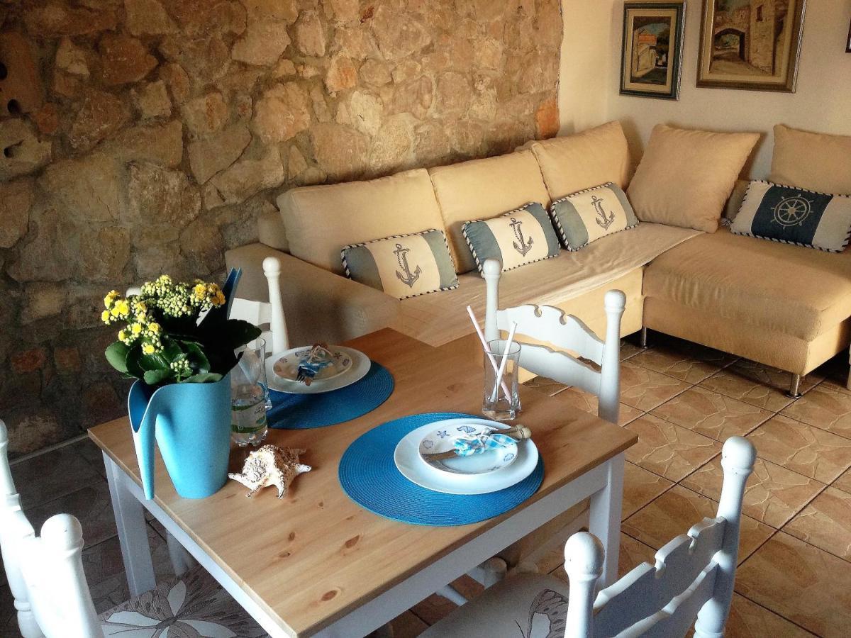 Charming Dalmatian With Panoramic View