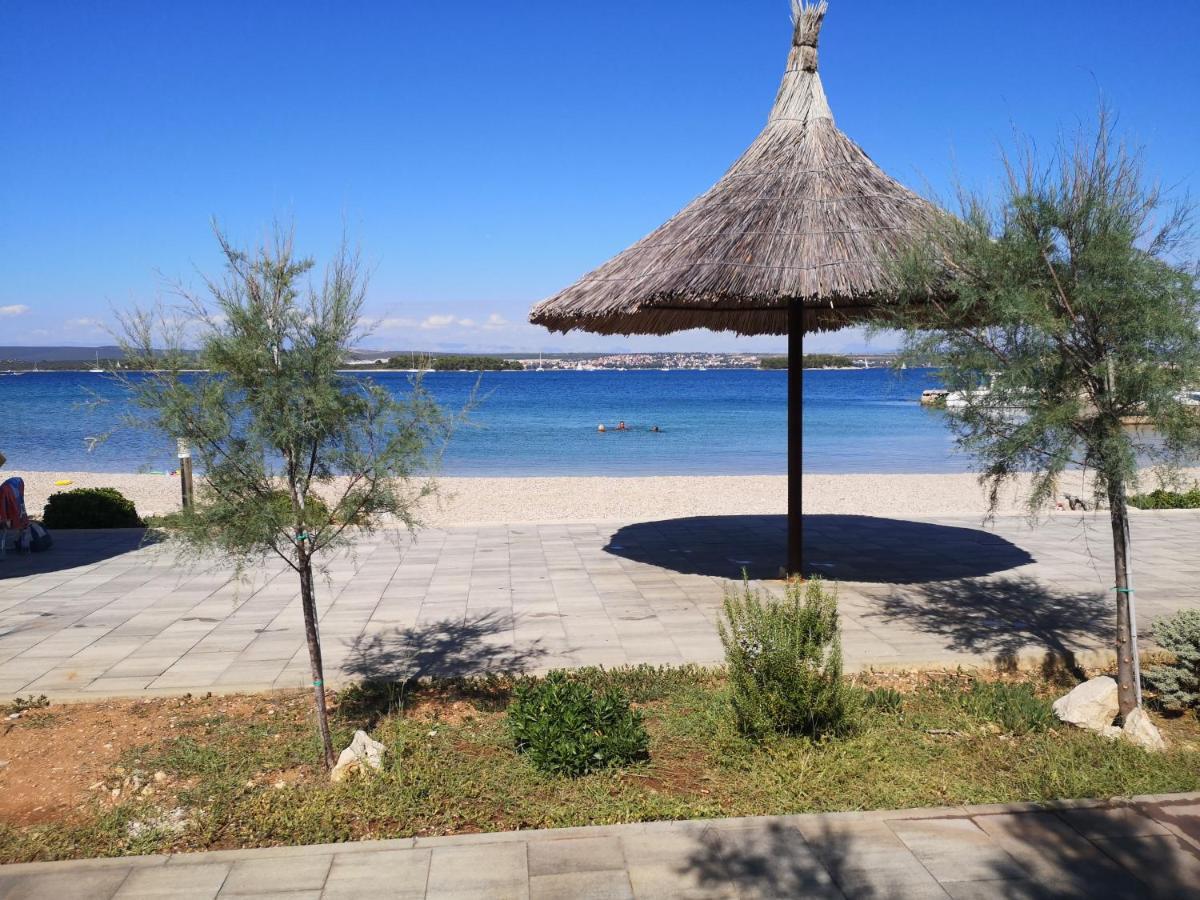 Charming Dalmatian With Panoramic View Tkon