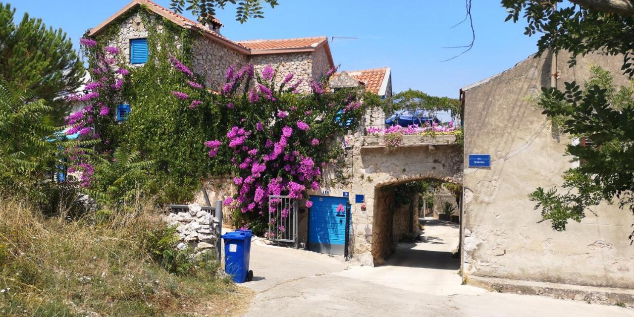Charming Dalmatian With Panoramic View Tkon