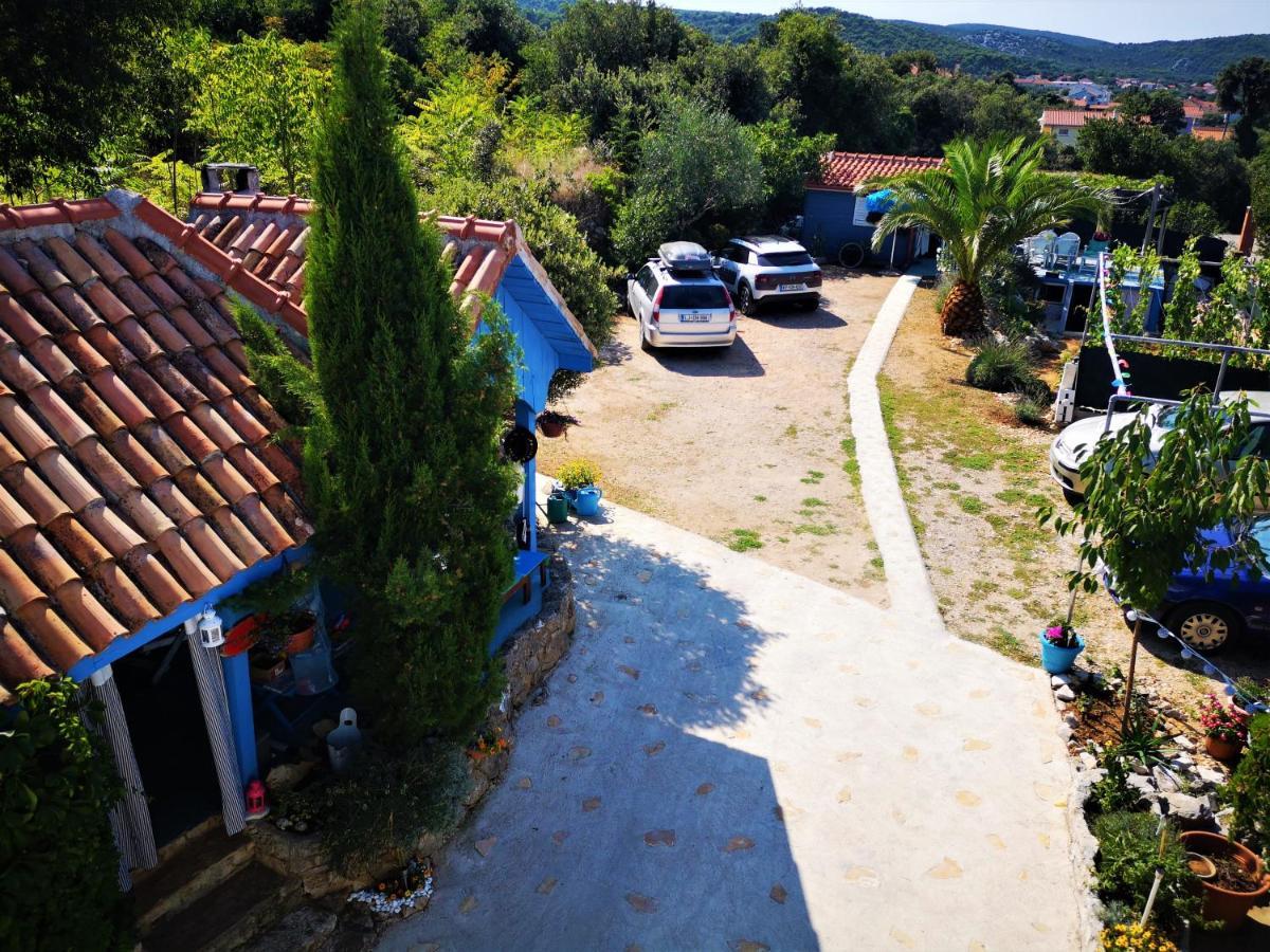 Charming Dalmatian With Panoramic View * Tkon