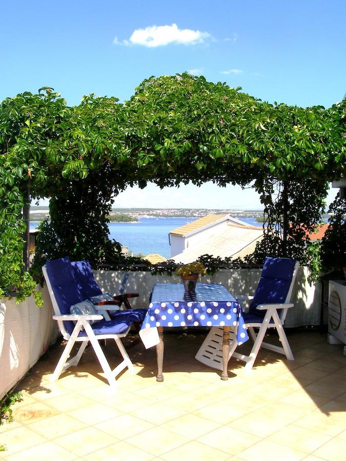 Charming Dalmatian With Panoramic View Tkon