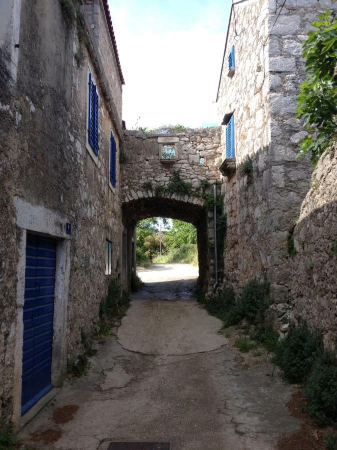 Charming Dalmatian With Panoramic View Tkon
